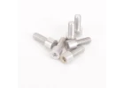 Alloy Rear Wheel Screws - Atom/Eclipse (6)