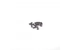 M2.5 X 8 Button Screws (10)