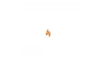 Titanium 5.5mm Ball Stud Short (2) - CAT PB