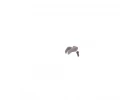 Wire Clip - CAT PB