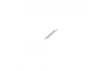 Pivot Pin 48mm x 1:8 - (2)