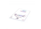 Manual - CAT 2000 Classic