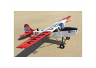 Seagull L-19A Bird Dog (Dead Eye) (60-80cc) 3.09m (122.0in)
