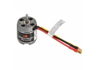 Brushless Outrunner Motor - 3542-1000Kv: ElectroStreak 1.1m