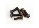 Screws - 3x10mm button-head machine (hex drive) (6)
