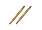 Traxxas TiN-coated GTR Shock shaft (2)