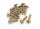 Flange Head Self Tapping Screws PWTHO2.6*12mm