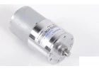 Earth Digger 4200XL Moving GearBox Motor (15 RPM) RC4WD