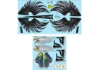 XFly Twin 40mm F-15 (Natioanl Guard) Decal Sheet