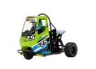 X-Rider Flamingo Trike - Green