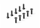 HEX SCREW SFH M2.5x5 (10)