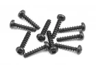 XRay Screw Phillips 2.5X12 (10)