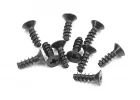XRay Screw Phillips Fh 2.5X8 (10)