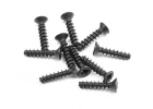 XRay Screw Phillips Fh 2.5X12 (10)