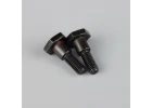 Zenoah Bolt M6x22mm (2 pcs)