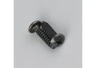 Zenoah Screw for Housing (2 pcs)