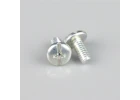 Zenoah Pump Cover Bolt (2 pcs)