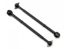 Associated CVA Bone B5/B5M