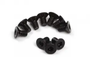 Flat Head Screw M2x4mm (Hex Socket/10pcs)