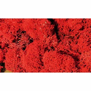 Heki 3213 Std. Lichen Autumn