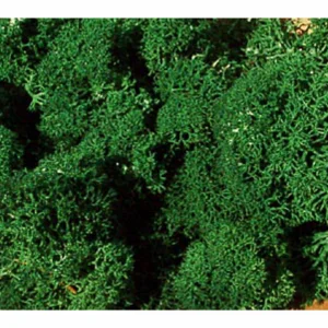 Heki 3211 Std. Lichen Dark Green