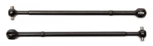 Associated CVA Bone T5M
