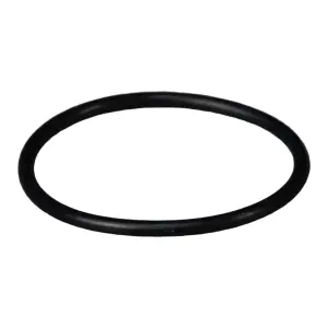 Force L009 Back Plate O Ring