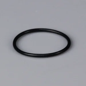 Force L009 Back Plate O Ring