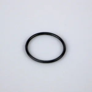 Te010A Carb O Ring Large (SH28) (1)