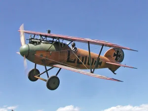 Belair Albatros DV 39 Inch