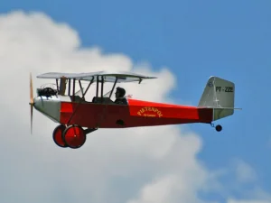 Belair Pietenpol Air Camper 45 Inch