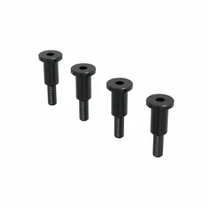 Ackermann Plate Screw (4pcs)