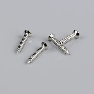 Arrows Hobby Screw Set (for Avanti)