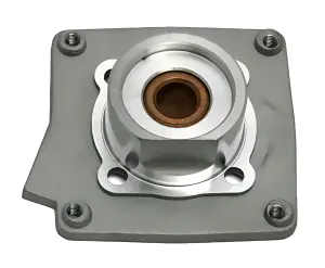 Backplate For Pull Start Engine Post May 2001