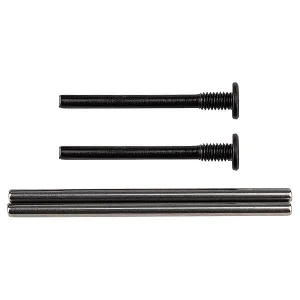 Team Associated Apex 2 Hinge Pins