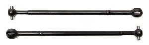 Associated CVA Bone T5M
