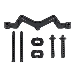 Team Associated DR10 Body Mount And Posts