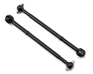 Associated CVA Bone B5/B5M