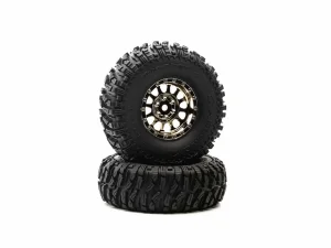 Class 1 Ascend CR C3 1.9 Black/Chr (2)