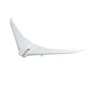 Wing: Micro Boeing 787 Dreamliner Twin 30mm EDF