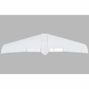 Painted Wing V1200