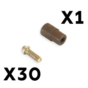 Fastrax Beadlock Wheel Nuts (30Pcs)