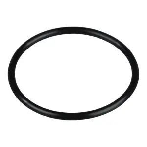Force L001 Rear Crankcase Cover O-Ring