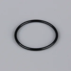Force L001 Rear Crankcase Cover O-Ring