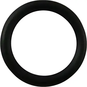 FTX Diff Case Seal O-Ring Pin