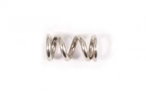 FTX Vantage/Carnage Slipper Spring