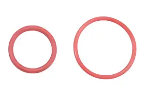 FTX Carnage NT Tuned Pipe + Tank O Ring Seals