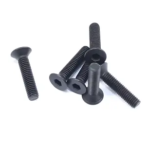 FTX Flat Head Hex 6Pcsm3*14