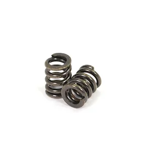 FTX Outback Hi-Rock Slipper Spring (2)