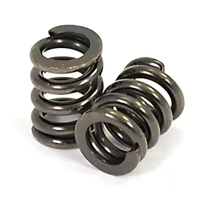 FTX Outback Hi-Rock Slipper Spring (2)